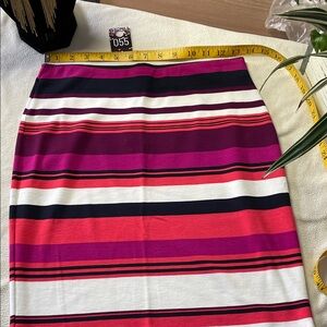 055-Ann Taylor Factory Multicolor Striped Pencil Skirt